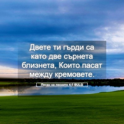 Picture 05 - Песен на песните 4:5 BULG - Двете ти гърди са като две - Bible Verse Picture