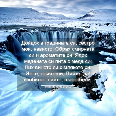 Picture 05 - Песен на песните 5:1 BULG - Дойдох в градината си, - Bible Verse Picture