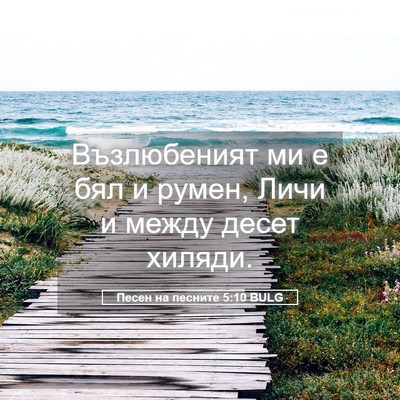 Picture 05 - Песен на песните 5:10 BULG - Възлюбеният ми е бял и - Bible Verse Picture
