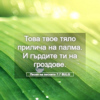 Picture 05 - Песен на песните 7:7 BULG - Това твое тяло прилича на - Bible Verse Picture