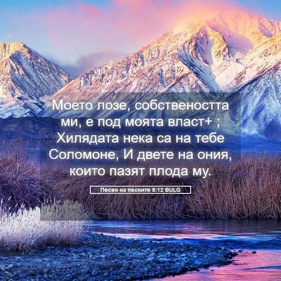 Picture 05 - Песен на песните 8:12 BULG - Моето лозе, собствеността - Bible Verse Picture