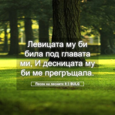 Picture 05 - Песен на песните 8:3 BULG - Левицата му би била под - Bible Verse Picture