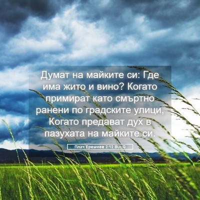 Picture 05 - Плач Еремиев 2:12 BULG - Думат на майките си: Где - Bible Verse Picture