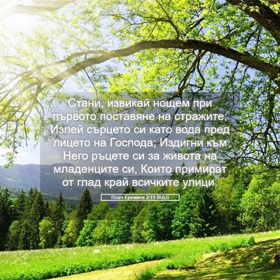 Picture 05 - Плач Еремиев 2:19 BULG - Стани, извикай нощем при - Bible Verse Picture