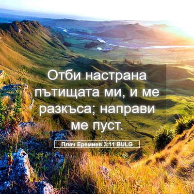 Picture 05 - Плач Еремиев 3:11 BULG - Отби настрана пътищата ми, - Bible Verse Picture