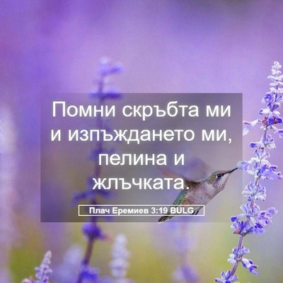 Picture 05 - Плач Еремиев 3:19 BULG - Помни скръбта ми и - Bible Verse Picture
