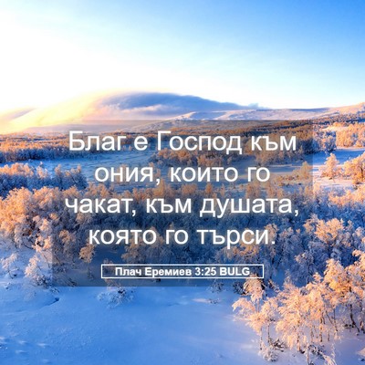 Picture 05 - Плач Еремиев 3:25 BULG - Благ е Господ към ония, - Bible Verse Picture