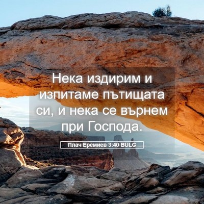 Picture 05 - Плач Еремиев 3:40 BULG - Нека издирим и изпитаме - Bible Verse Picture