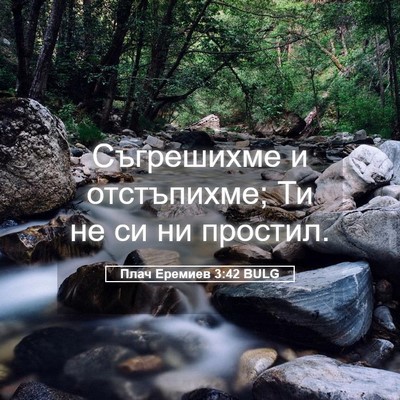 Picture 05 - Плач Еремиев 3:42 BULG - Съгрешихме и отстъпихме; - Bible Verse Picture