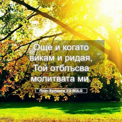 Picture 05 - Плач Еремиев 3:8 BULG - Още и когато викам и ридая, - Bible Verse Picture