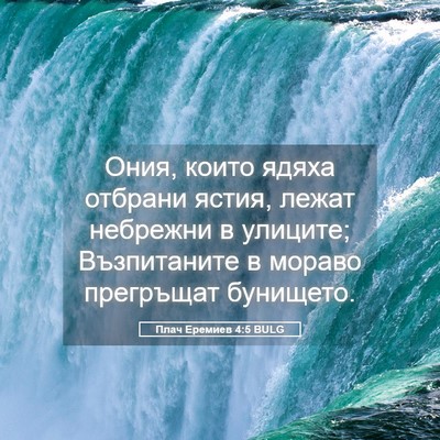 Picture 05 - Плач Еремиев 4:5 BULG - Ония, които ядяха отбрани - Bible Verse Picture
