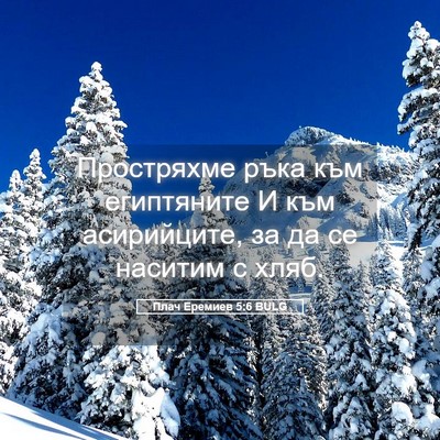 Picture 05 - Плач Еремиев 5:6 BULG - Простряхме ръка към - Bible Verse Picture