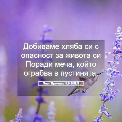 Picture 05 - Плач Еремиев 5:9 BULG - Добиваме хляба си с - Bible Verse Picture