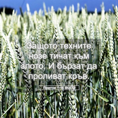 Picture 05 - Притчи 1:16 BULG - Защото техните нозе тичат - Bible Verse Picture