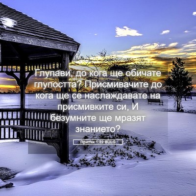 Picture 05 - Притчи 1:22 BULG - Глупави, до кога ще обичате - Bible Verse Picture