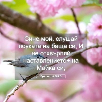 Picture 05 - Притчи 1:8 BULG - Сине мой, слушай поуката на - Bible Verse Picture