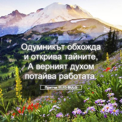 Picture 05 - Притчи 11:13 BULG - Одумникът обхожда и - Bible Verse Picture