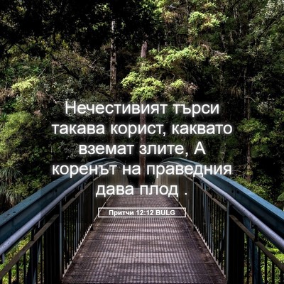 Picture 05 - Притчи 12:12 BULG - Нечестивият търси такава - Bible Verse Picture