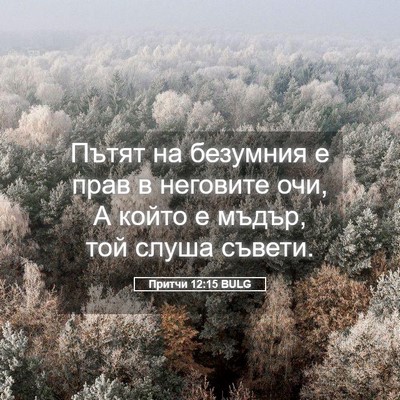 Picture 05 - Притчи 12:15 BULG - Пътят на безумния е прав в - Bible Verse Picture