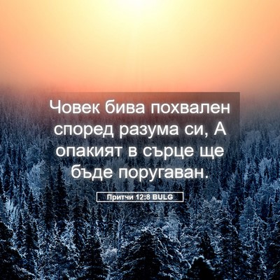 Picture 05 - Притчи 12:8 BULG - Човек бива похвален според - Bible Verse Picture