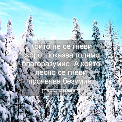 Picture 05 - Притчи 14:29 BULG - Който не се гневи скоро, - Bible Verse Picture