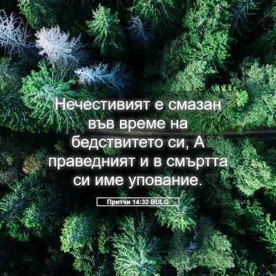 Picture 05 - Притчи 14:32 BULG - Нечестивият е смазан във - Bible Verse Picture
