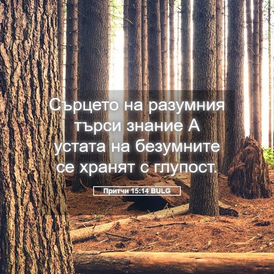 Picture 05 - Притчи 15:14 BULG - Сърцето на разумния търси - Bible Verse Picture