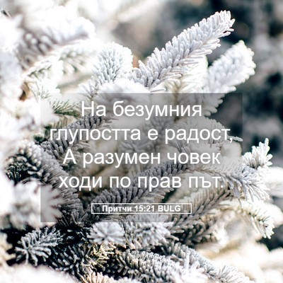 Picture 05 - Притчи 15:21 BULG - На безумния глупостта е - Bible Verse Picture