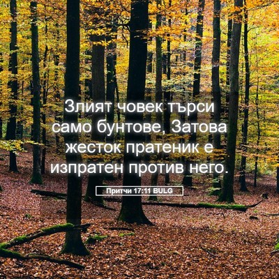 Picture 05 - Притчи 17:11 BULG - Злият човек търси само - Bible Verse Picture