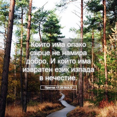 Picture 05 - Притчи 17:20 BULG - Който има опако сърце не - Bible Verse Picture