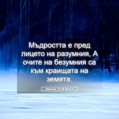 Picture 05 - Притчи 17:24 BULG - Мъдростта е пред лицето на - Bible Verse Picture