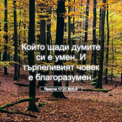 Picture 05 - Притчи 17:27 BULG - Който щади думите си е - Bible Verse Picture