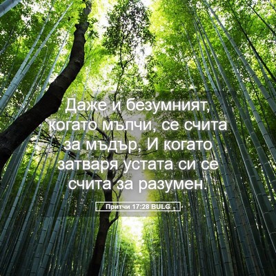 Picture 05 - Притчи 17:28 BULG - Даже и безумният, когато - Bible Verse Picture