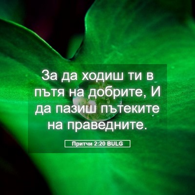 Picture 05 - Притчи 2:20 BULG - За да ходиш ти в пътя на - Bible Verse Picture