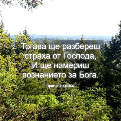 Picture 05 - Притчи 2:5 BULG - Тогава ще разбереш страха - Bible Verse Picture