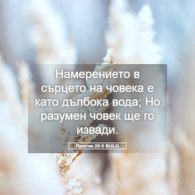 Picture 05 - Притчи 20:5 BULG - Намерението в сърцето на - Bible Verse Picture