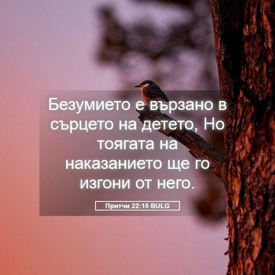 Picture 05 - Притчи 22:15 BULG - Безумието е вързано в - Bible Verse Picture