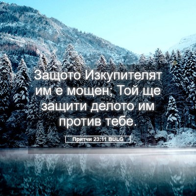 Picture 05 - Притчи 23:11 BULG - Защото Изкупителят им е - Bible Verse Picture