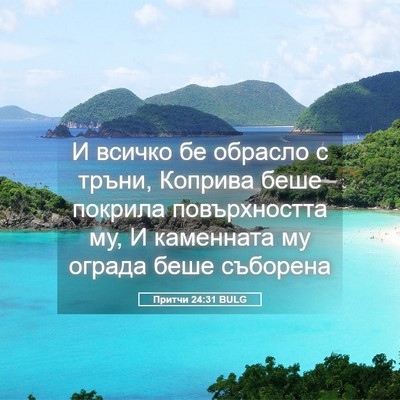 Picture 05 - Притчи 24:31 BULG - И всичко бе обрасло с - Bible Verse Picture