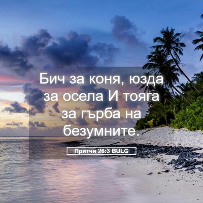 Picture 05 - Притчи 26:3 BULG - Бич за коня, юзда за осела И - Bible Verse Picture