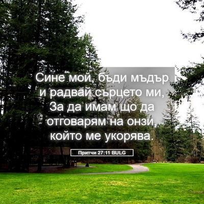 Picture 05 - Притчи 27:11 BULG - Сине мой, бъди мъдър и - Bible Verse Picture