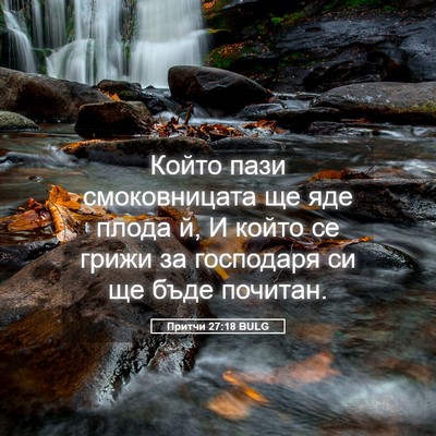 Picture 05 - Притчи 27:18 BULG - Който пази смоковницата ще - Bible Verse Picture