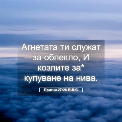Picture 05 - Притчи 27:26 BULG - Агнетата ти служат за - Bible Verse Picture