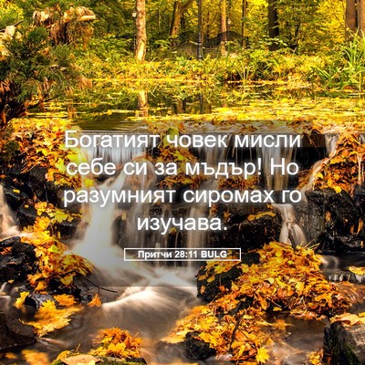 Picture 05 - Притчи 28:11 BULG - Богатият човек мисли себе - Bible Verse Picture