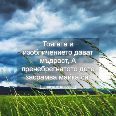 Picture 05 - Притчи 29:15 BULG - Тоягата и изобличението - Bible Verse Picture