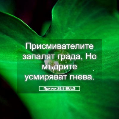 Picture 05 - Притчи 29:8 BULG - Присмивателите запалят - Bible Verse Picture