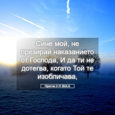 Picture 05 - Притчи 3:11 BULG - Сине мой, не презирай - Bible Verse Picture