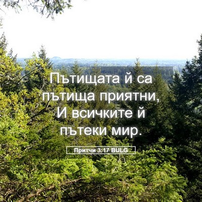 Picture 05 - Притчи 3:17 BULG - Пътищата й са пътища - Bible Verse Picture