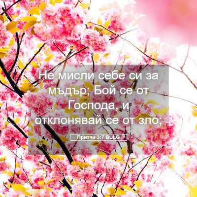 Picture 05 - Притчи 3:7 BULG - Не мисли себе си за мъдър; - Bible Verse Picture