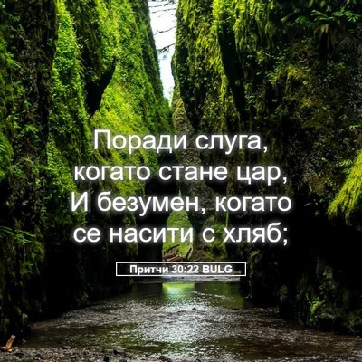 Picture 05 - Притчи 30:22 BULG - Поради слуга, когато стане - Bible Verse Picture